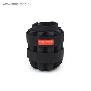 Утяжелители 2 × 6 кг (грузы съёмные 500 г, 24 шт.), цвет чёрный