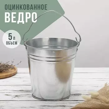Ведро оцинкованное хозяйственное с ручкой, 5 л, d=21 см, h=20.5 см, ГОСТ