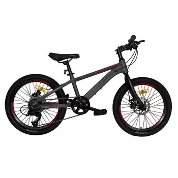 Велосипед 20" Maxiscoo Horizon, цвет серый матовый