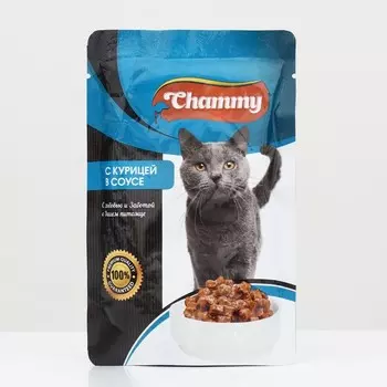 Влажный корм Chammy для кошек, говядина, кусочки в соусе, пауч, 100 г