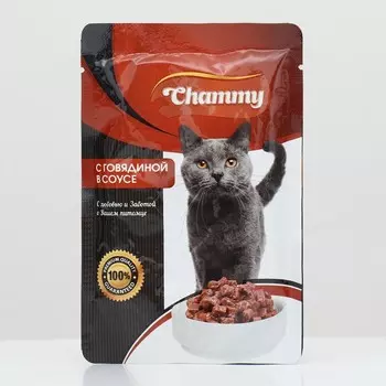 Влажный корм Chammy для кошек, курица, кусочки в соусе, пауч, 100 г