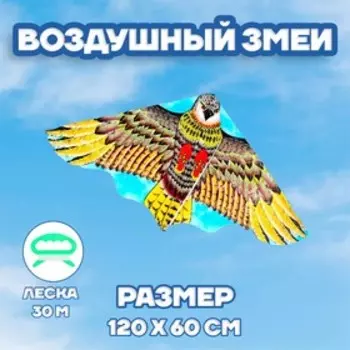 Воздушный змей «Орёл», с леской