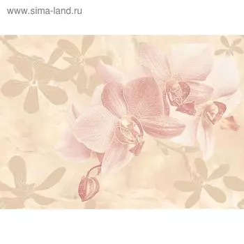 Вставка керамическая Gentle C-GT2M011, бежевая, 250х350 мм