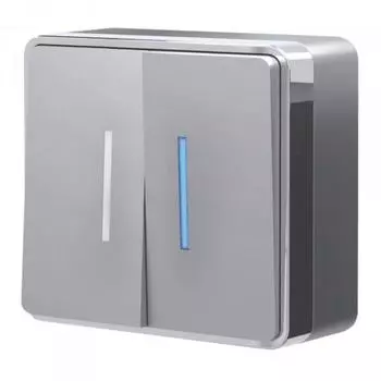 ВыключательGallant W5020106, двухклавишный, с подсветкой, цвет серебро