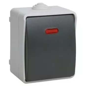 Выключатель IEK "ФОРС" EVS11-K03-10-54-DC, 1 кл., ОП, 10А,подсвет., IP54, сер., ВС20-1-1-ФСр 25903