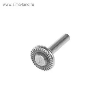 Заклепка стальная, 30196 мм