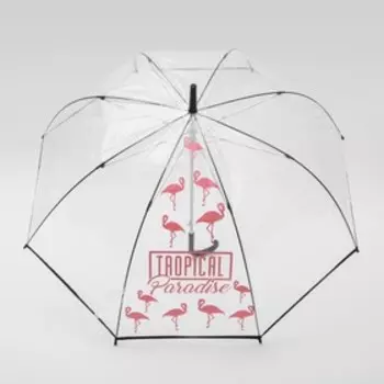 Зонт женский механический, купол Tropical Paradise, 8 спиц, d = 88 см, прозрачный, механический