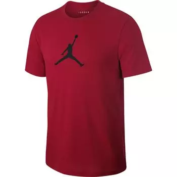 Футболка Jordan Iconic 23/7