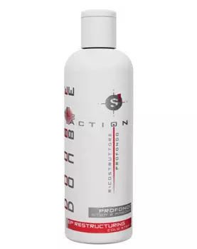 Hair Company Professional Double Action Ricostruttore Profondo Step 2 Freddo Регенерирующее средство холодной фазы 250 мл (Hair Company Professional, Double Action)