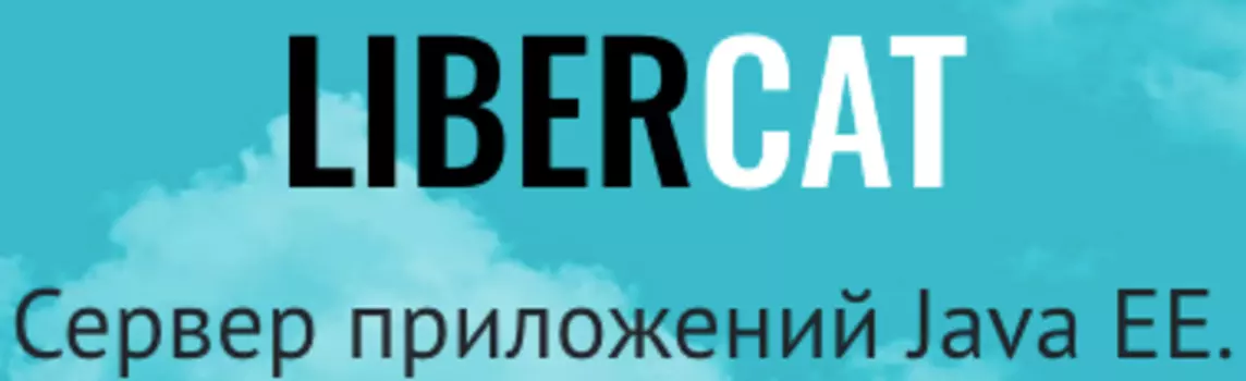 БЕЛЛСОФТ LiberCat