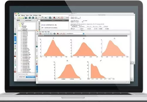 Constrained Maximum Likelihood MT