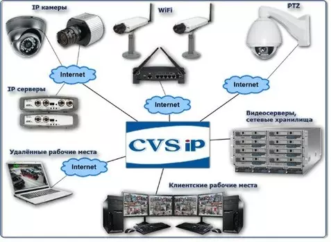 CVS-IP