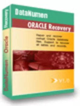 DataNumen Oracle Recovery 1.0