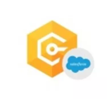 Devart dotConnect for Salesforce