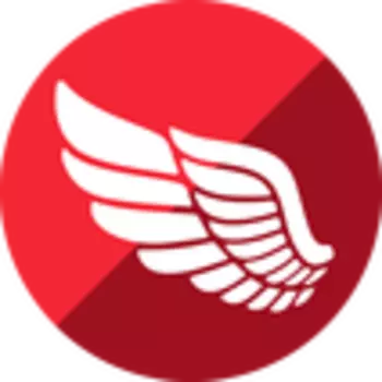 Embarcadero RAD Server