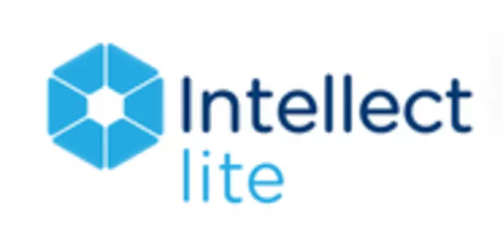 «Интеллект Лайт»