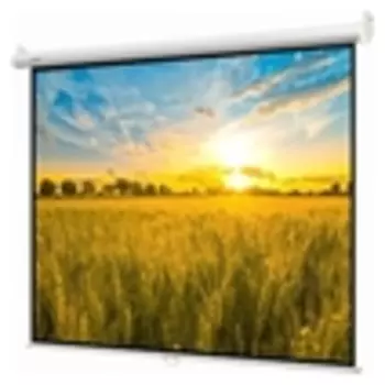 Экран Digis настенный Optimal-B