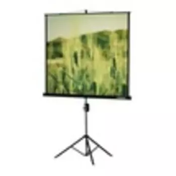 Экран Lumien MASTER View