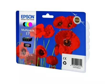Картридж черный, голубой, пурпурный, желтый Epson C13T17064A10