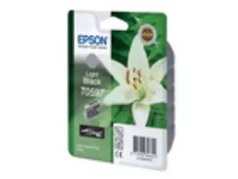 Картридж серый Epson C13T05974010