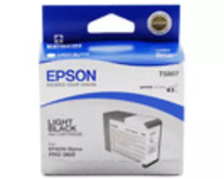 Картридж серый Epson C13T580700
