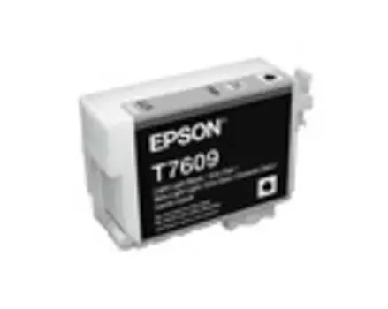 Картридж светло-серый Epson C13T76094010