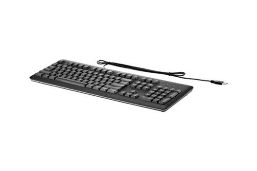 Клавиатура HP Inc. USB Keyboard QY776AA#ACB, цвет черный