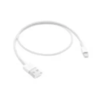 Lightning to USB Cable (0.5 m)