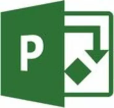 Microsoft Project Professional 2021