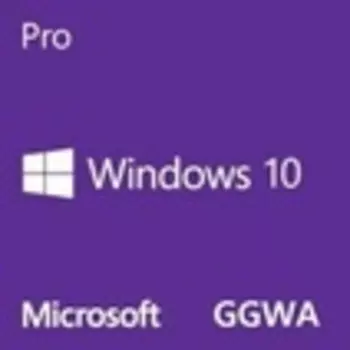 Microsoft Windows 10 Pro (GGWA)