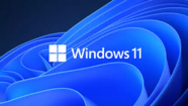 Microsoft Windows Professional 11