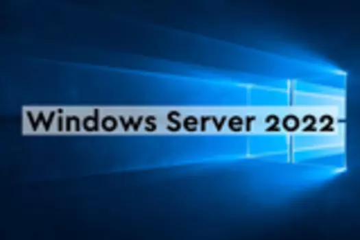 Microsoft Windows Remote Desktop Services CAL 2022