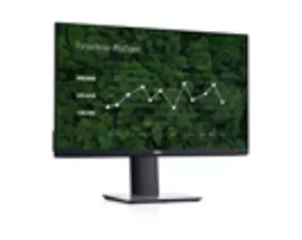 Монитор Dell Technologies P2419 23.8-inch черный