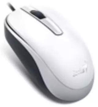 Мышь GENIUS DX 120 31010105102, цвет белый