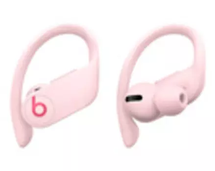 Наушники Apple Beats Powerbeats Pro Totally Wireless Earphones