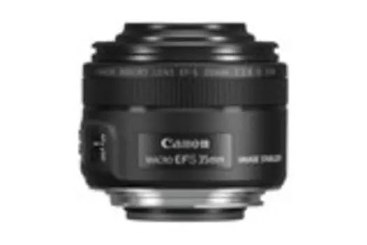 Объектив Canon EF-S IS STM