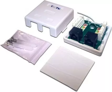 Розетка Lanmaster TWT-SM2-4512-WH настен. кат.5E UTP (упак.:1шт)