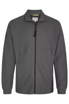 Мужская толстовка Camel Active, серая