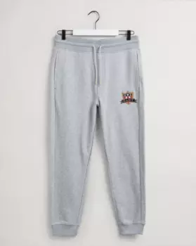 Мужские брюки джоггеры Gant, серые