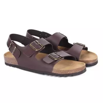 Мужские сланцы SCHOLL, коричневые