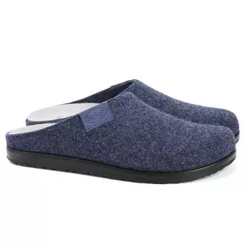 Мужские тапочки SCHOLL, синие