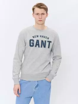 Мужской свитшот Gant, серый