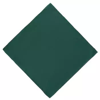 Платок Gant, зеленый