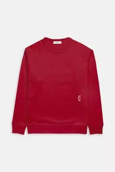 Свитшот Closed