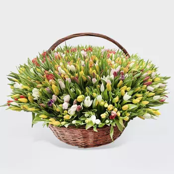 Букет 1001 тюльпан в корзине