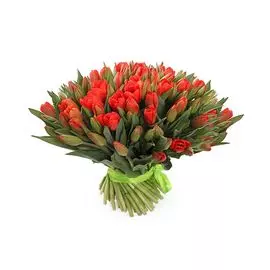 Букет 101 королевский тюльпан, красно-оранжевые