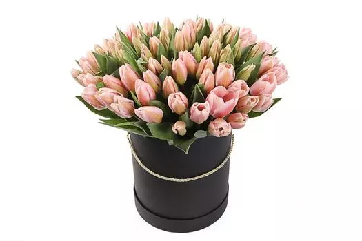 Букет 101 королевский тюльпан в черной коробке, жемчужные