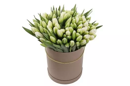 Букет 101 королевский тюльпан в коричневой коробке, белые