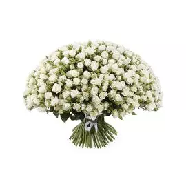 Букет 101 кустовая роза Сноуфлейк