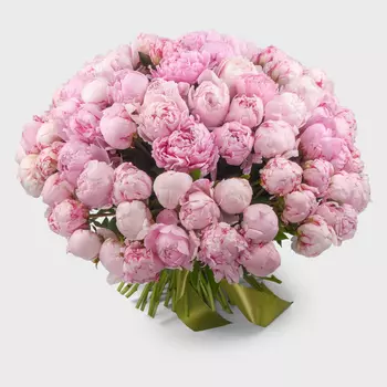 Букет 101 пион Розовый жемчуг